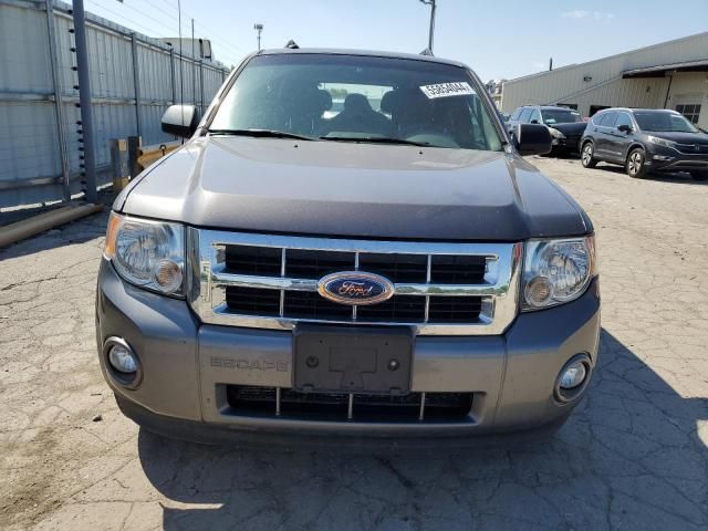 2009 Ford Escape XLT