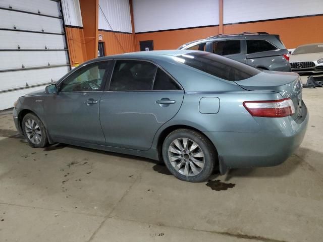 2009 Toyota Camry Hybrid