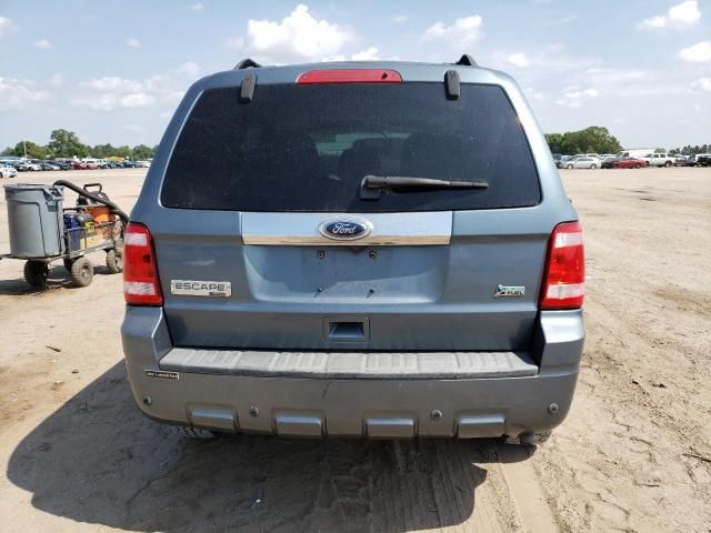 2010 Ford Escape Limited