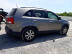 2011 KIA Sorento Base