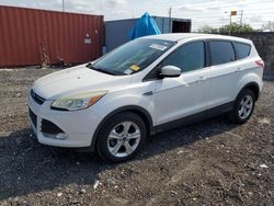 Salvage cars for sale from Copart Homestead, FL: 2014 Ford Escape SE