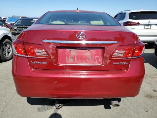 2010 Lexus ES 350