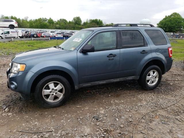 2011 Ford Escape XLT