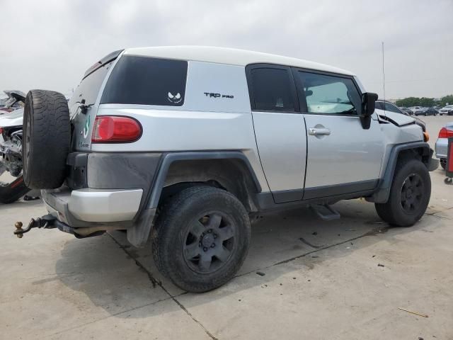 2007 Toyota FJ Cruiser