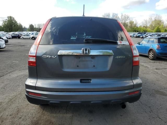 2010 Honda CR-V EXL