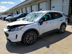 Vehiculos salvage en venta de Copart Louisville, KY: 2022 Ford Escape SE