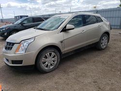 2012 Cadillac SRX Luxury Collection for sale in Greenwood, NE
