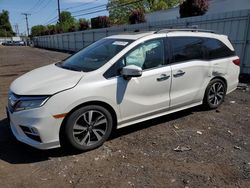 Honda Odyssey Vehiculos salvage en venta: 2019 Honda Odyssey Elite