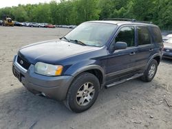 Vehiculos salvage en venta de Copart Marlboro, NY: 2004 Ford Escape XLT