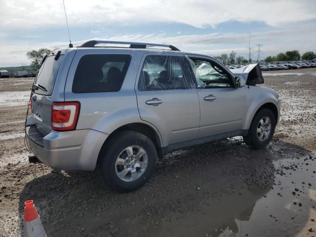 2011 Ford Escape Limited