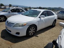 Vehiculos salvage en venta de Copart San Martin, CA: 2011 Toyota Camry Base