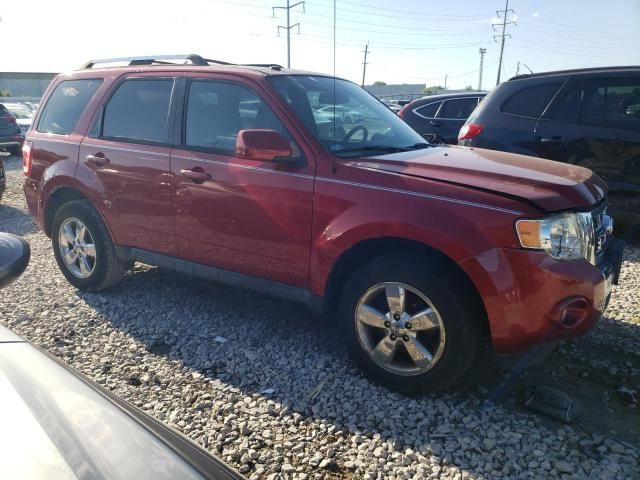 2012 Ford Escape Limited