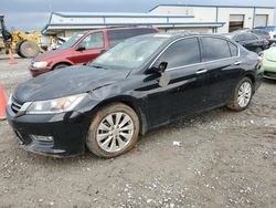 2013 Honda Accord EXL for sale in Earlington, KY