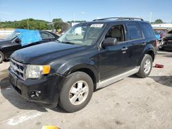 Ford salvage cars for sale: 2010 Ford Escape XLT