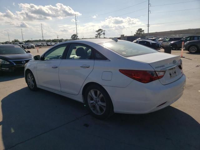 2011 Hyundai Sonata SE