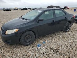 Toyota Corolla salvage cars for sale: 2009 Toyota Corolla Base