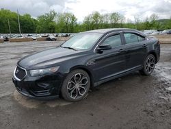 Ford Taurus sho salvage cars for sale: 2016 Ford Taurus SHO