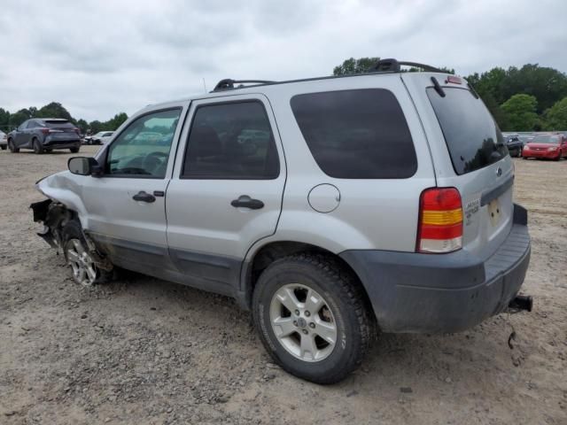 2006 Ford Escape XLT