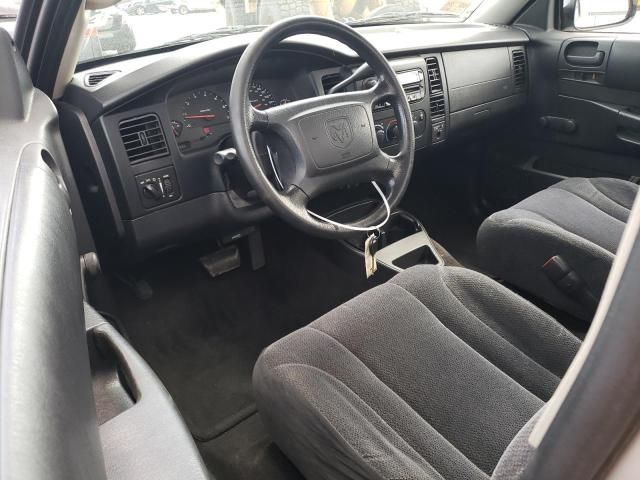 2004 Dodge Dakota SXT