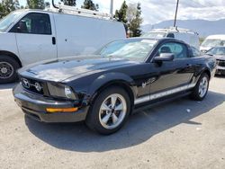 Salvage cars for sale from Copart Rancho Cucamonga, CA: 2009 Ford Mustang