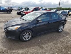 2016 Ford Focus SE for sale in Indianapolis, IN