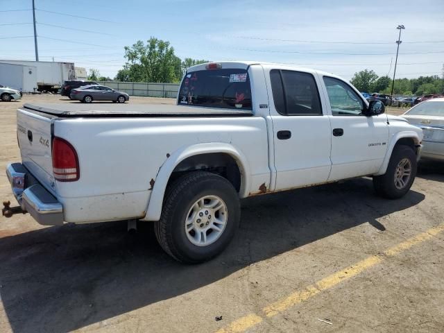 2001 Dodge Dakota Quattro