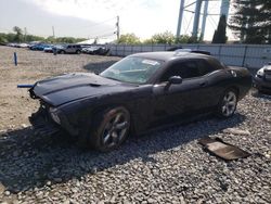 Dodge Challenger salvage cars for sale: 2012 Dodge Challenger R/T