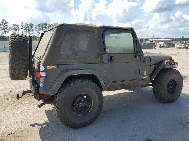 2002 Jeep Wrangler / TJ X