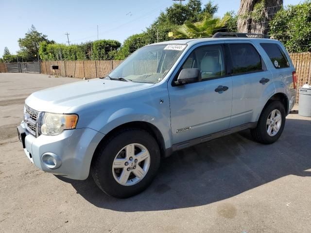 2008 Ford Escape HEV