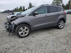 Ford Vehiculos salvage en venta: 2013 Ford Escape SE