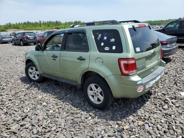 2010 Ford Escape Hybrid