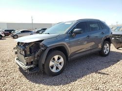 2021 Toyota Rav4 LE for sale in Phoenix, AZ