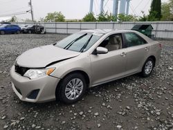 Salvage cars for sale from Copart Windsor, NJ: 2013 Toyota Camry L