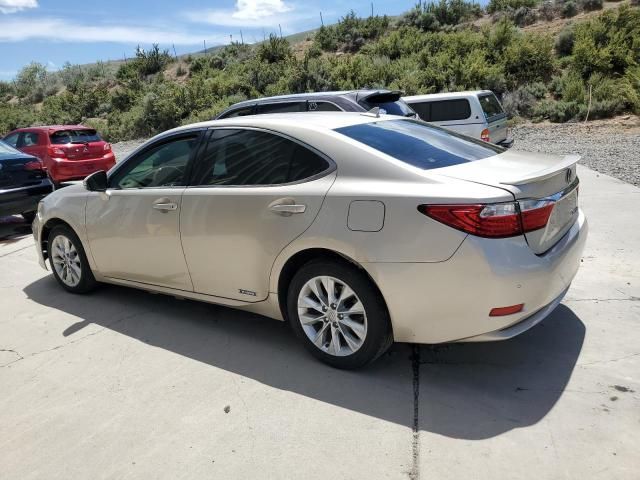 2013 Lexus ES 300H