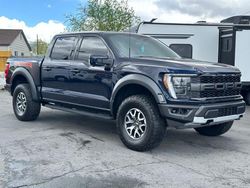 Ford F150 salvage cars for sale: 2022 Ford F150 Raptor