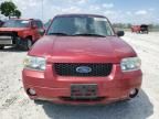 2007 Ford Escape XLT