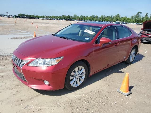 2014 Lexus ES 300H