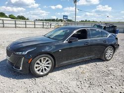Cadillac salvage cars for sale: 2021 Cadillac CT5 Luxury