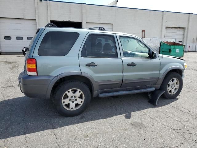 2006 Ford Escape XLT