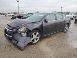 2011 Chevrolet Malibu 1LT en venta en Indianapolis, IN