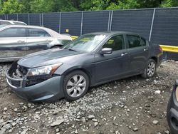 2009 Honda Accord EX for sale in Waldorf, MD