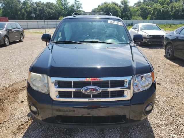 2010 Ford Escape Limited