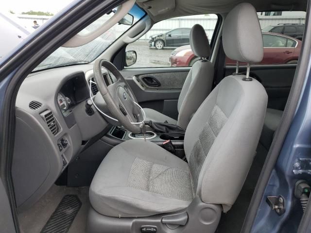 2005 Ford Escape XLT