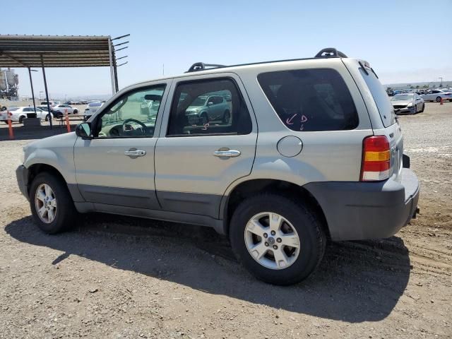 2005 Ford Escape XLT