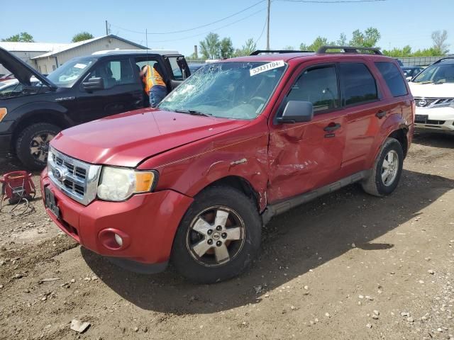 2010 Ford Escape XLT