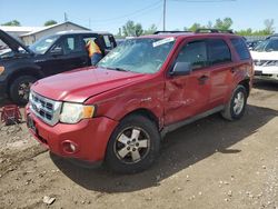 2010 Ford Escape XLT en venta en Pekin, IL