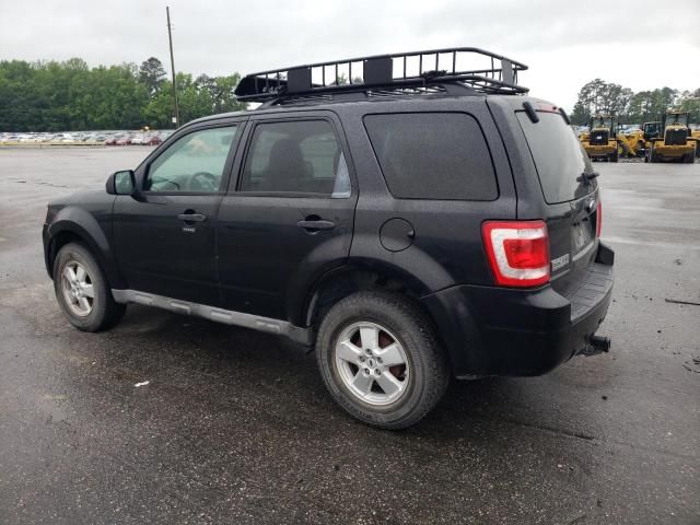 2009 Ford Escape XLT