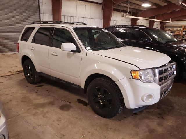 2011 Ford Escape Limited