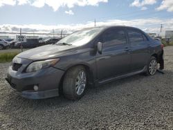 Toyota salvage cars for sale: 2009 Toyota Corolla Base