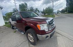 2009 Ford F150 Supercrew for sale in Bowmanville, ON